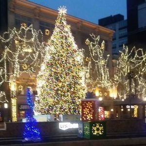 Meet your Posher, Carol